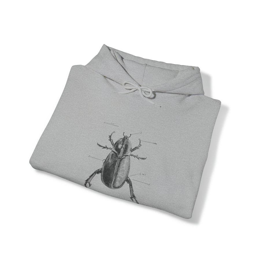 Graphic Insect Print Unisex Hooded Sweatshirt