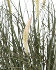Faux Fountain Grass Plant in Pot for Indoor Style