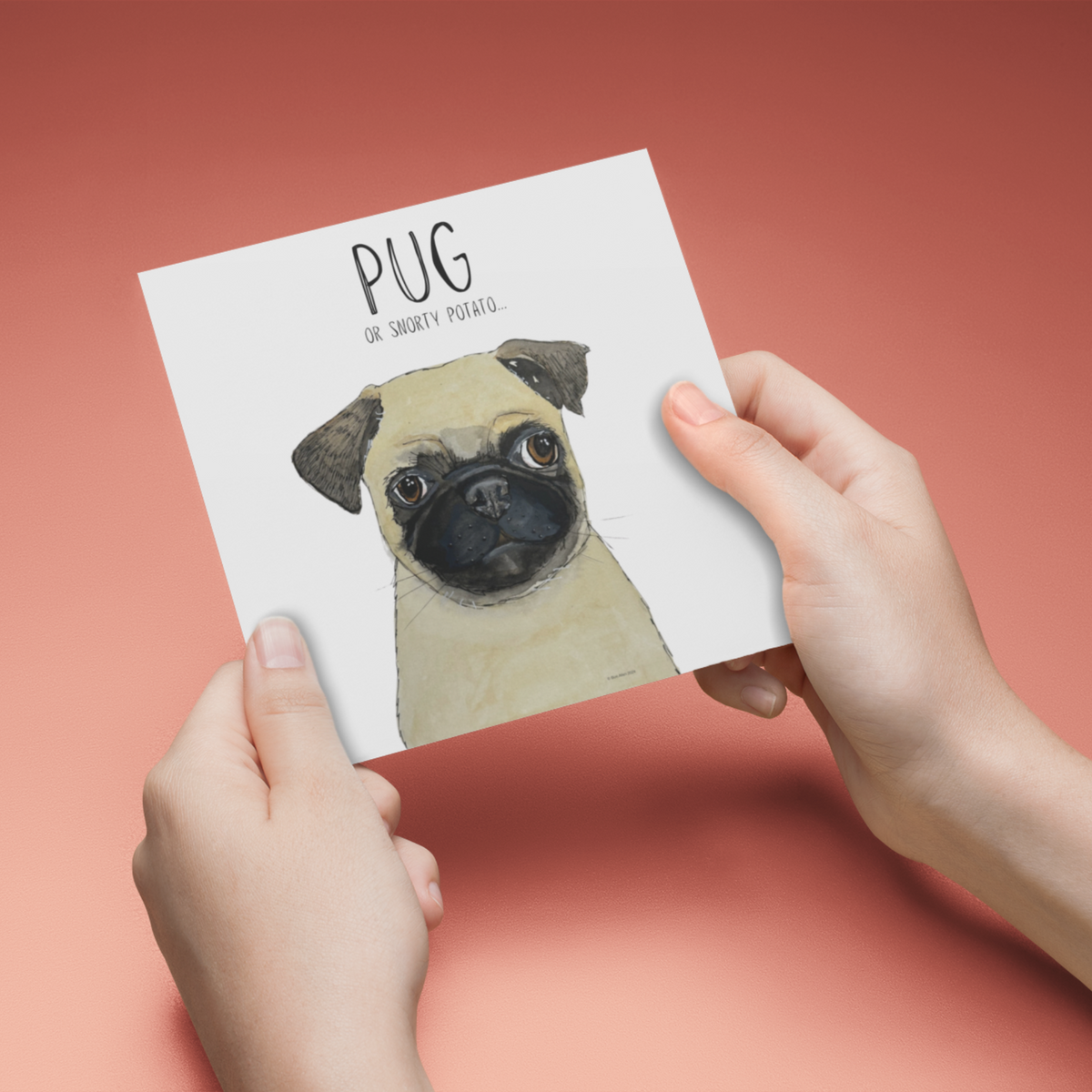 Snorty Potato Greetings – The Perfect Pug Card!