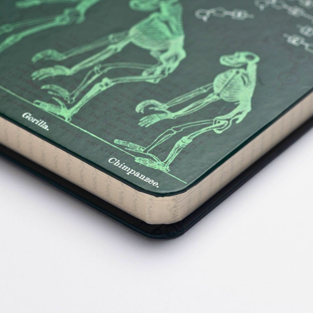 Evolution &amp; Genetics A5 Hardcover