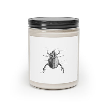 Brilliant Beetle Mania Vegan Scented Candle