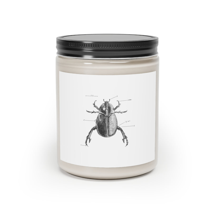 Brilliant Beetle Manic Vegan Scented Candle | Exlan