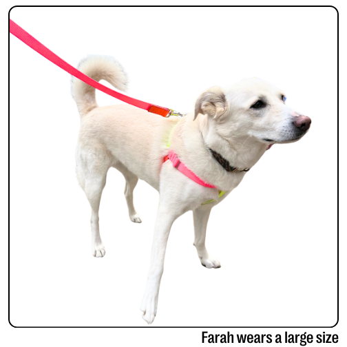 Nylon Colour Block Harness - Pink, Orange &amp; Yellow