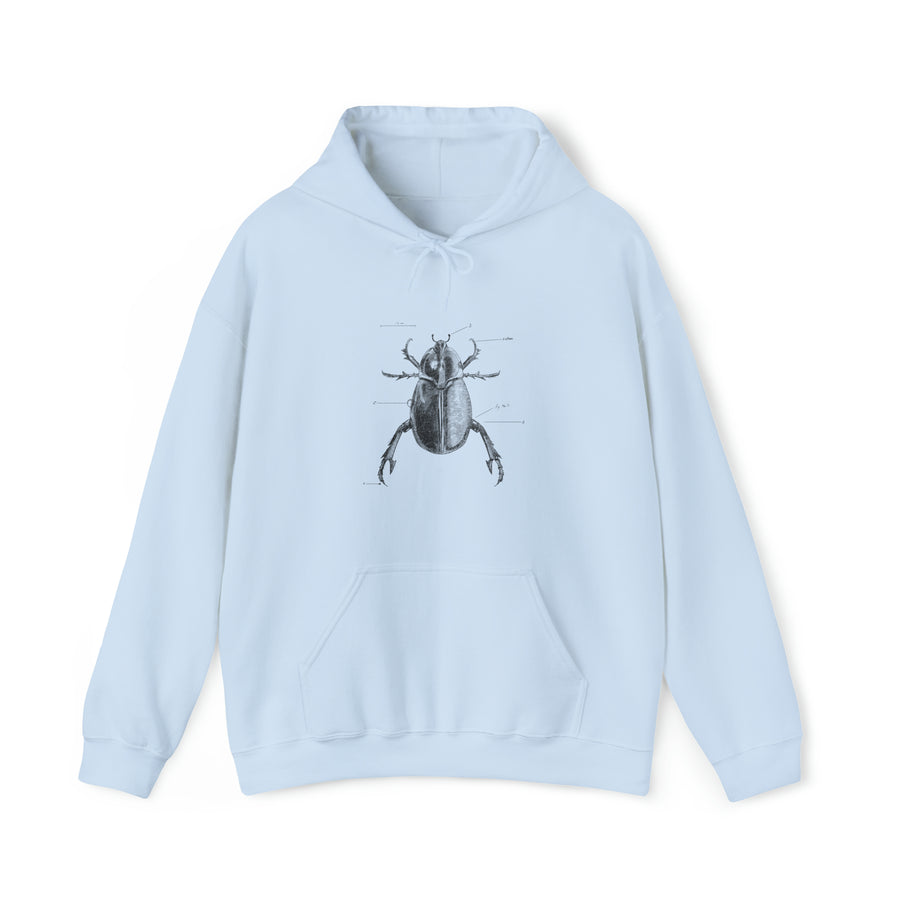 Graphic Insect Print Unisex Hooded Sweatshirt