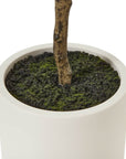 Artificial Olive Tree 180cm in White Pot Mediterranean Style Greenery