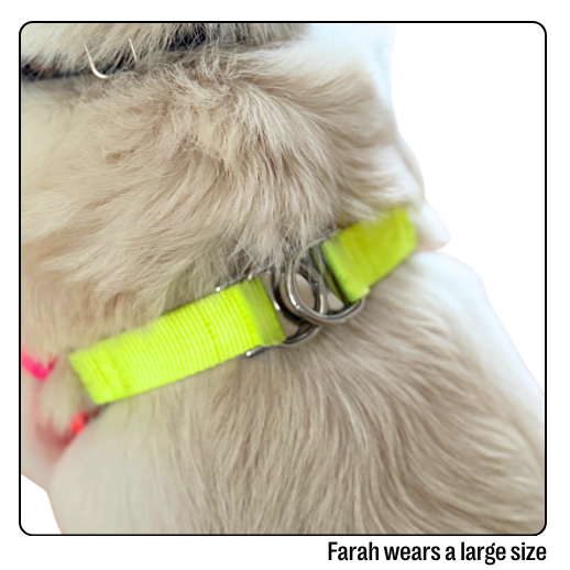 Nylon Colour Block Harness - Pink, Orange &amp; Yellow