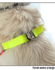 Nylon Colour Block Harness - Pink, Orange & Yellow
