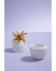 Pineapple Jar | Sena