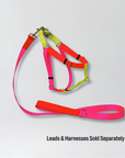 Nylon Colour Block Harness - Pink, Orange & Yellow
