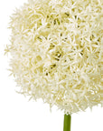 Cream Giant Allium Stem Faux Flower Arrangement