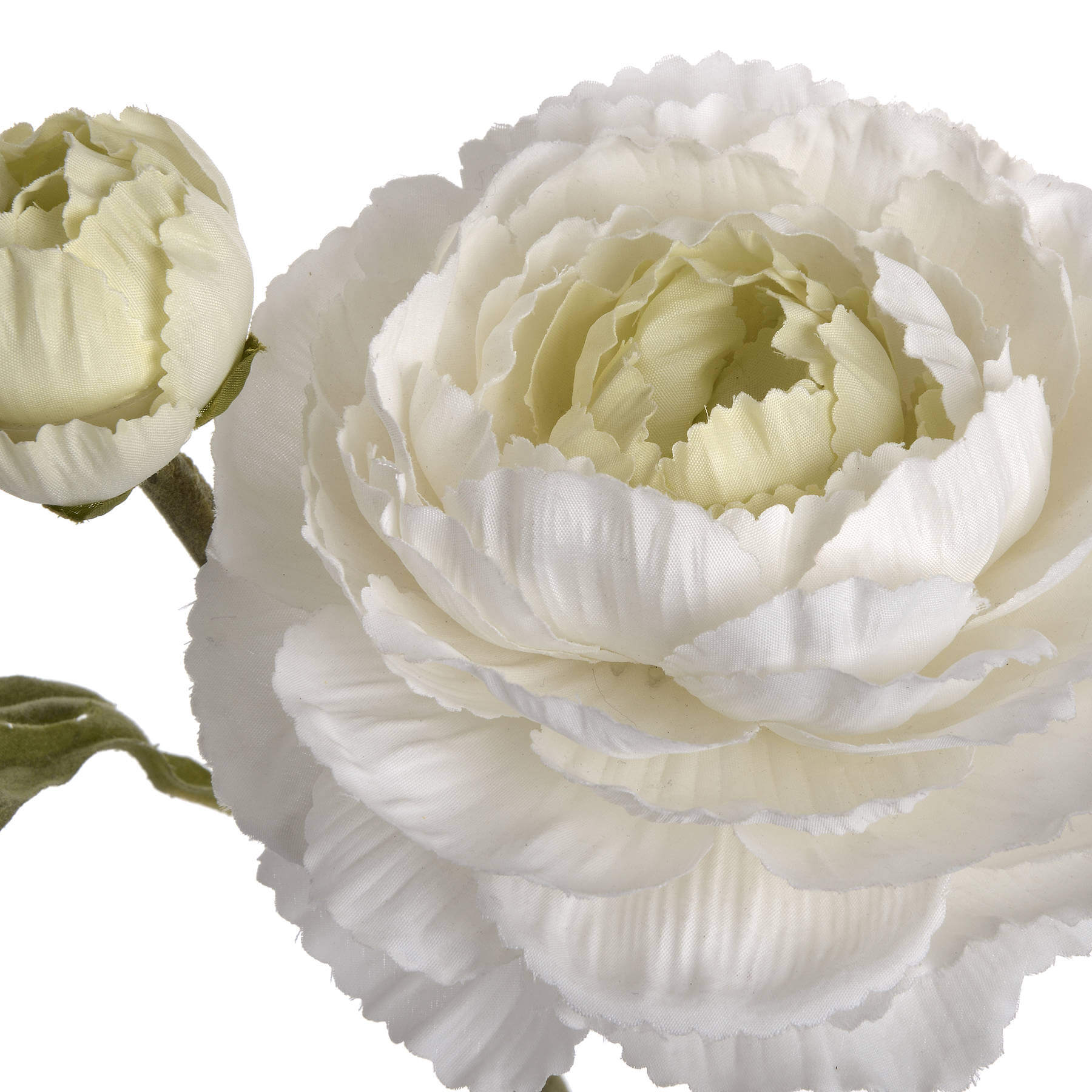 Elegant White Ranunculus Bouquet | Fresh Floral Spray