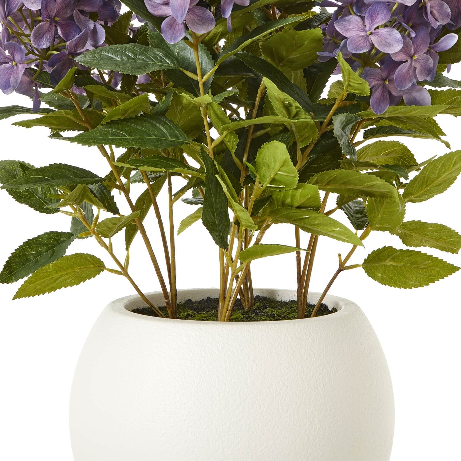 Lavender Hydrangea in Decorative Pot