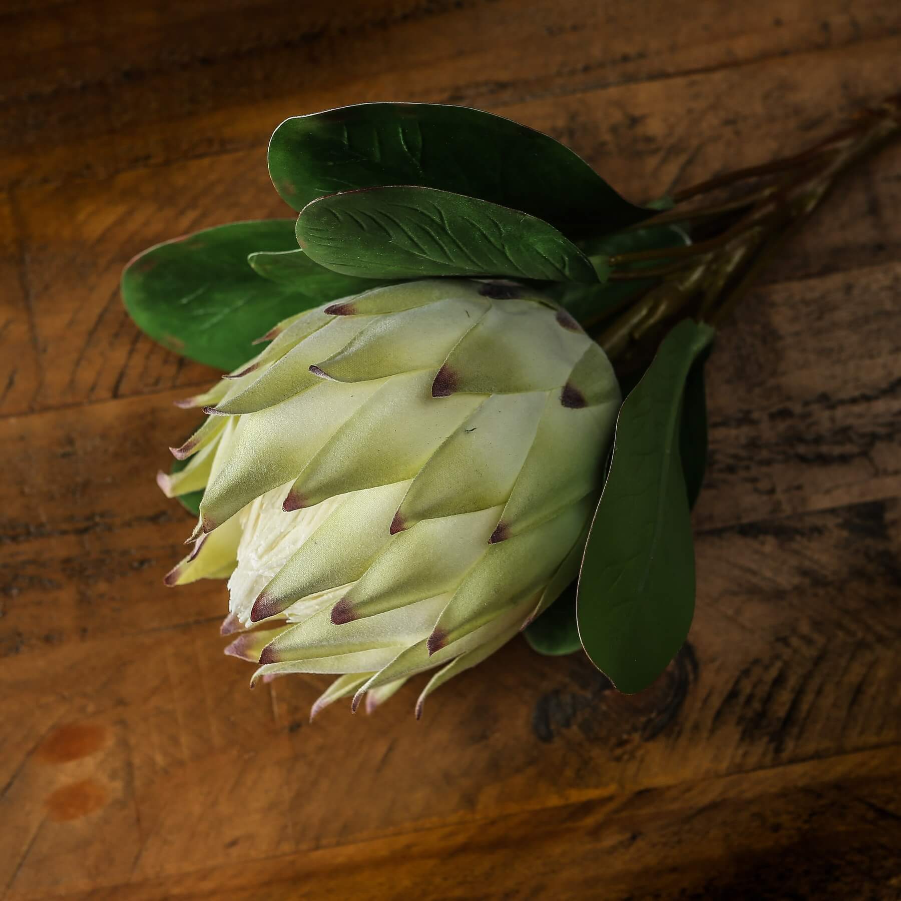 Large White Faux Protea Stem