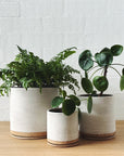 Handmade ceramic planter - Eggshell white