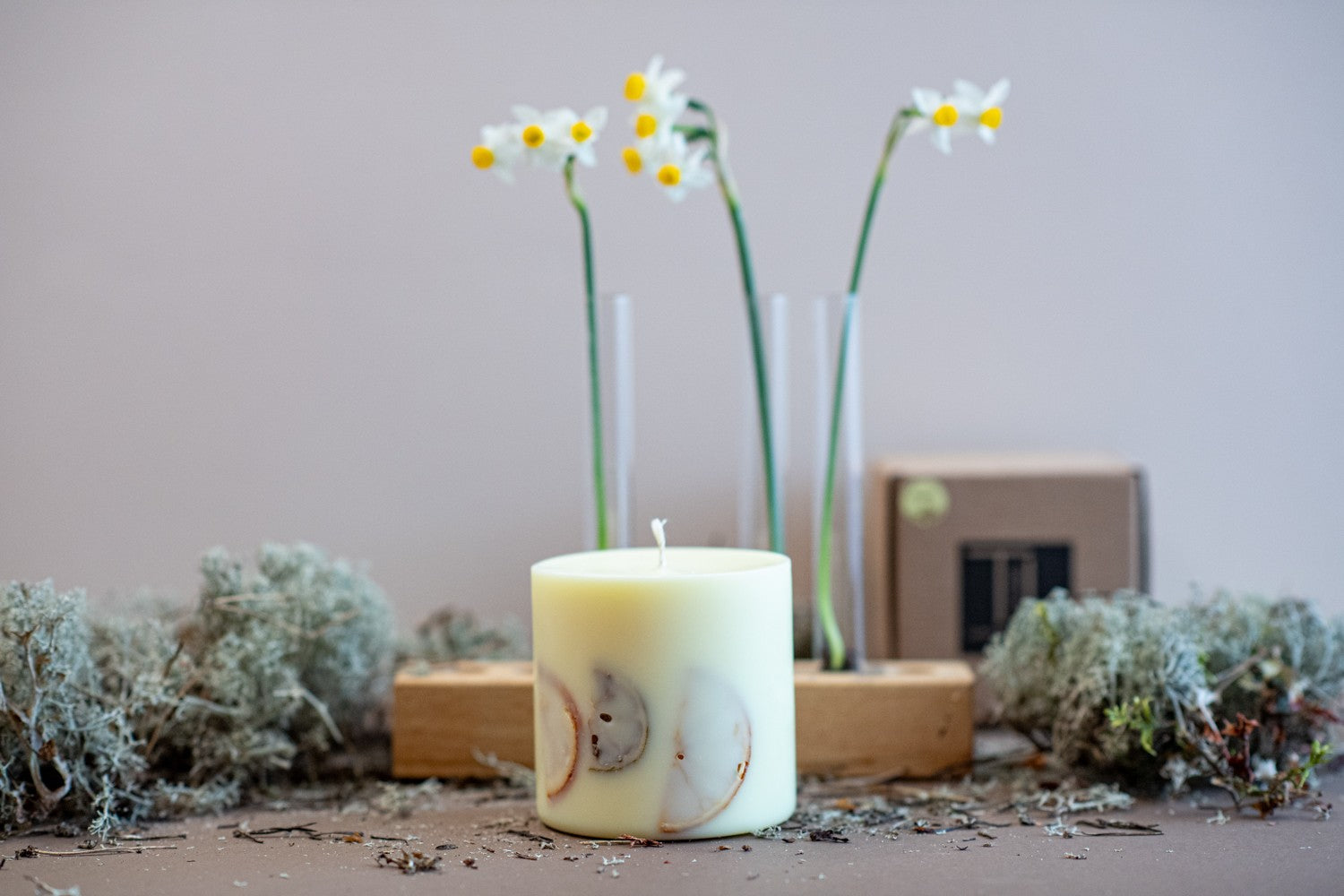 Handmade Vanilla Scented Candle with Citrus Decor - SILVA Collection - Cozy &amp; Natural Elegance by TL Candles at www.brixbailey.com