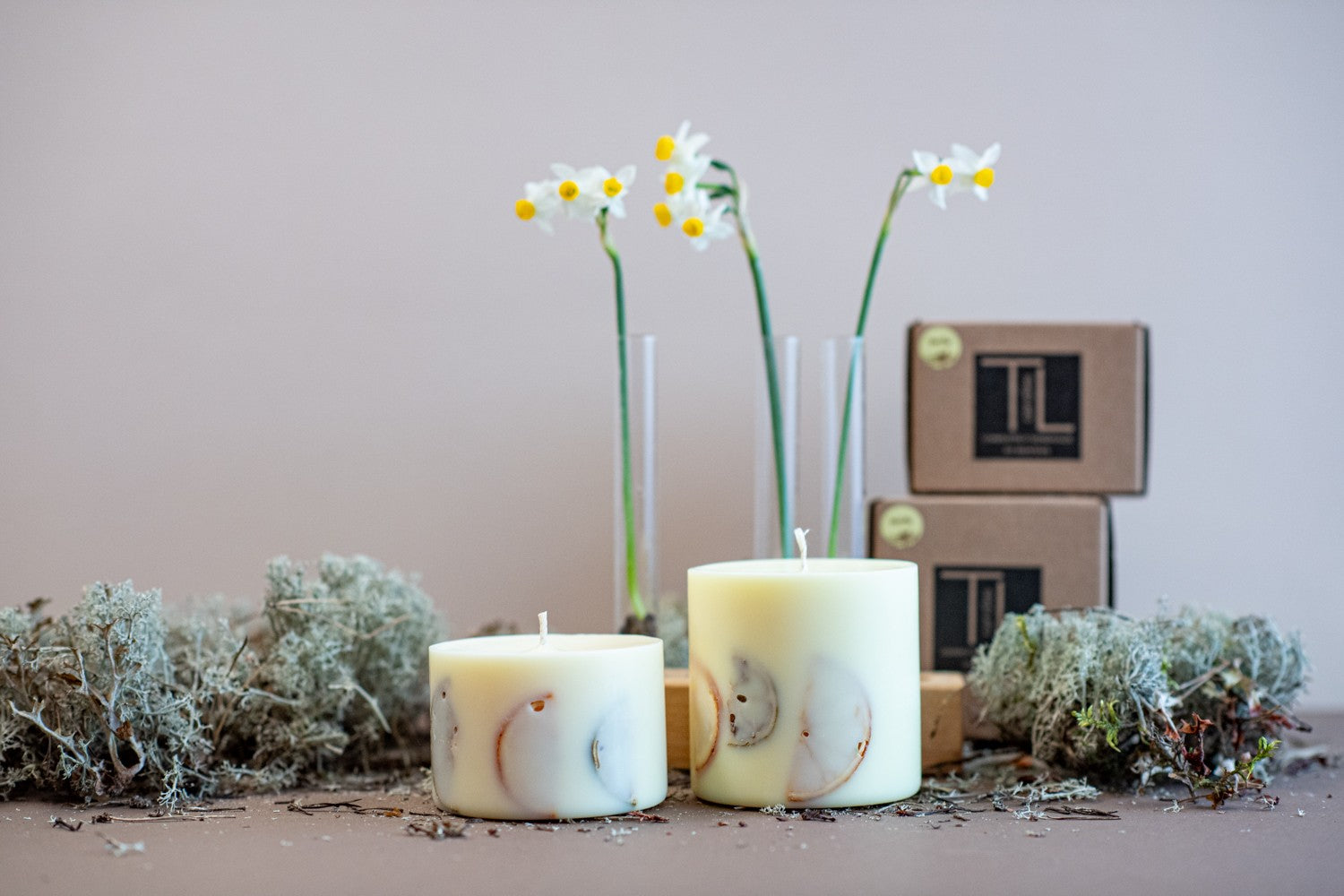 Handmade Vanilla Scented Candle with Citrus Decor - Cozy &amp; Elegant Home Fragrance by TL Candles at www.brixbailey.com