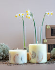 Handmade Vanilla Scented Candle with Citrus Decor - Cozy & Elegant Home Fragrance by TL Candles at www.brixbailey.com