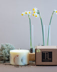 Handmade Vanilla Candle with Citrus Accents - Cozy & Natural Elegance from Latvia by TL Candles at www.brixbailey.com