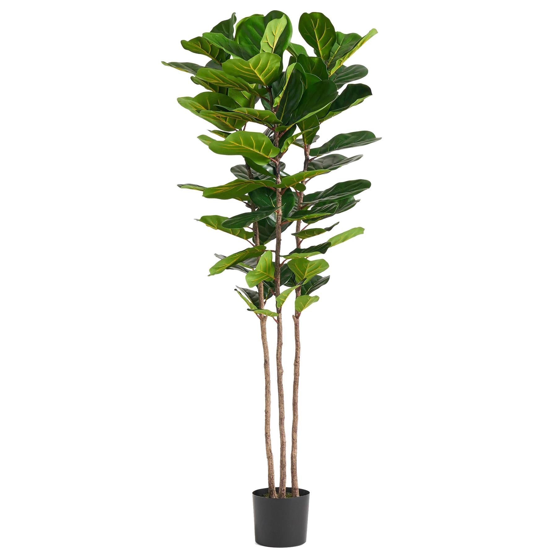 180cm Premium Artificial Fiddle Leaf Fig Tree-0
