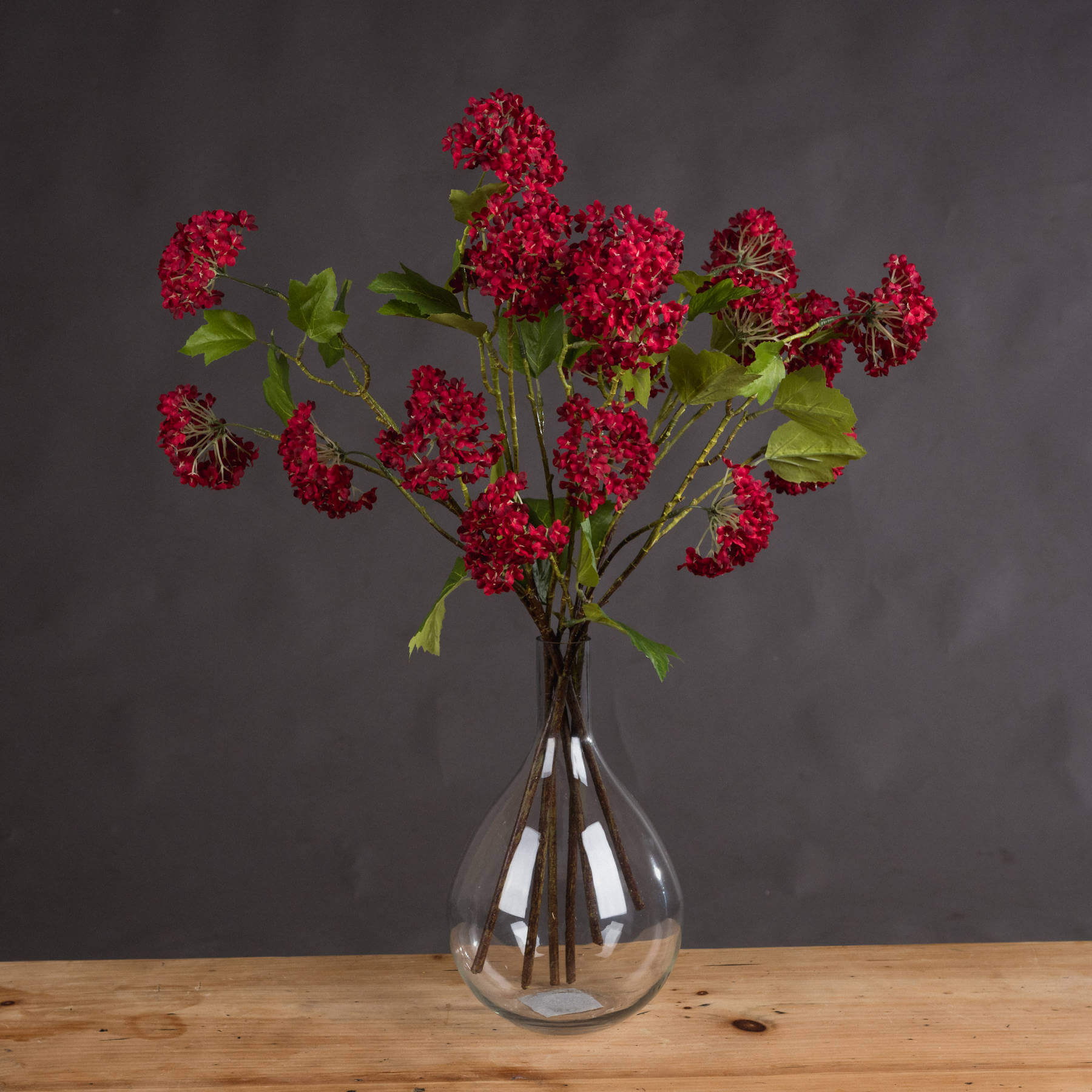 Vibrant Red Viburnum | Stunning Autumn Blooms