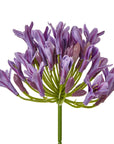 Lilac Artificial Agapanthus Flower Stem