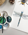 Dragonfly Watercolour Fine Art Print