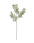 Silver Wattle Leaf Stem for a Calm Natural Look