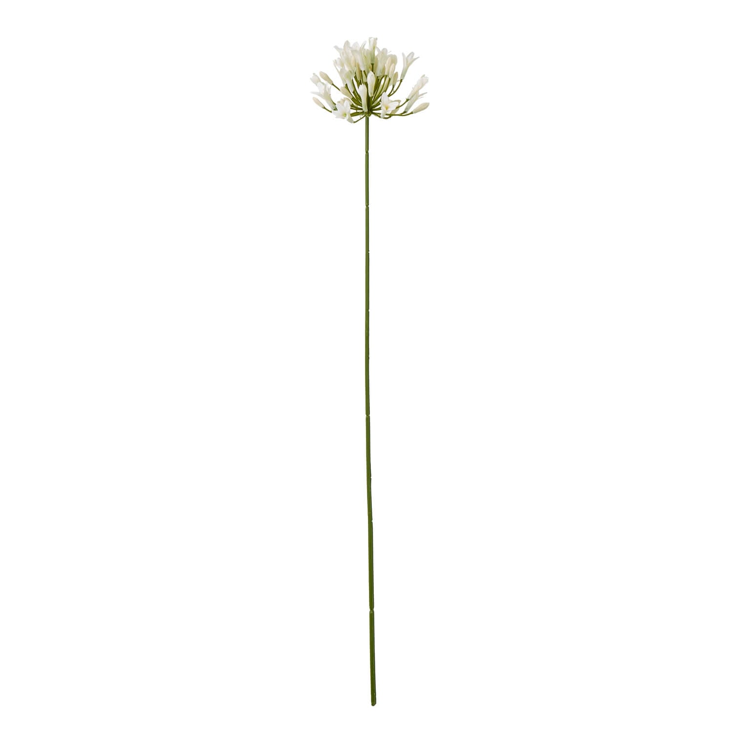 Cream Agapanthus Artificial Flower Stem