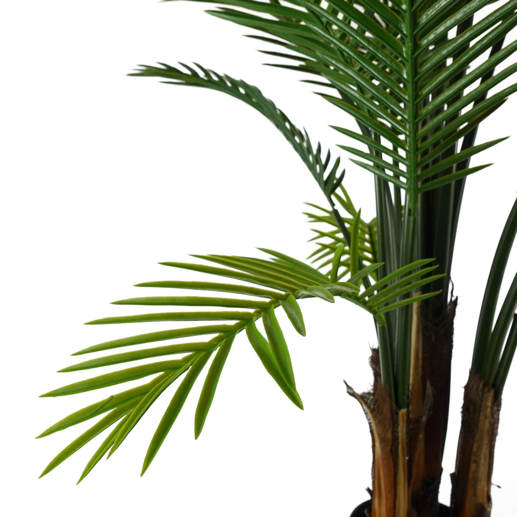 UV Resistant Raphis Palm Tree Trunk-3