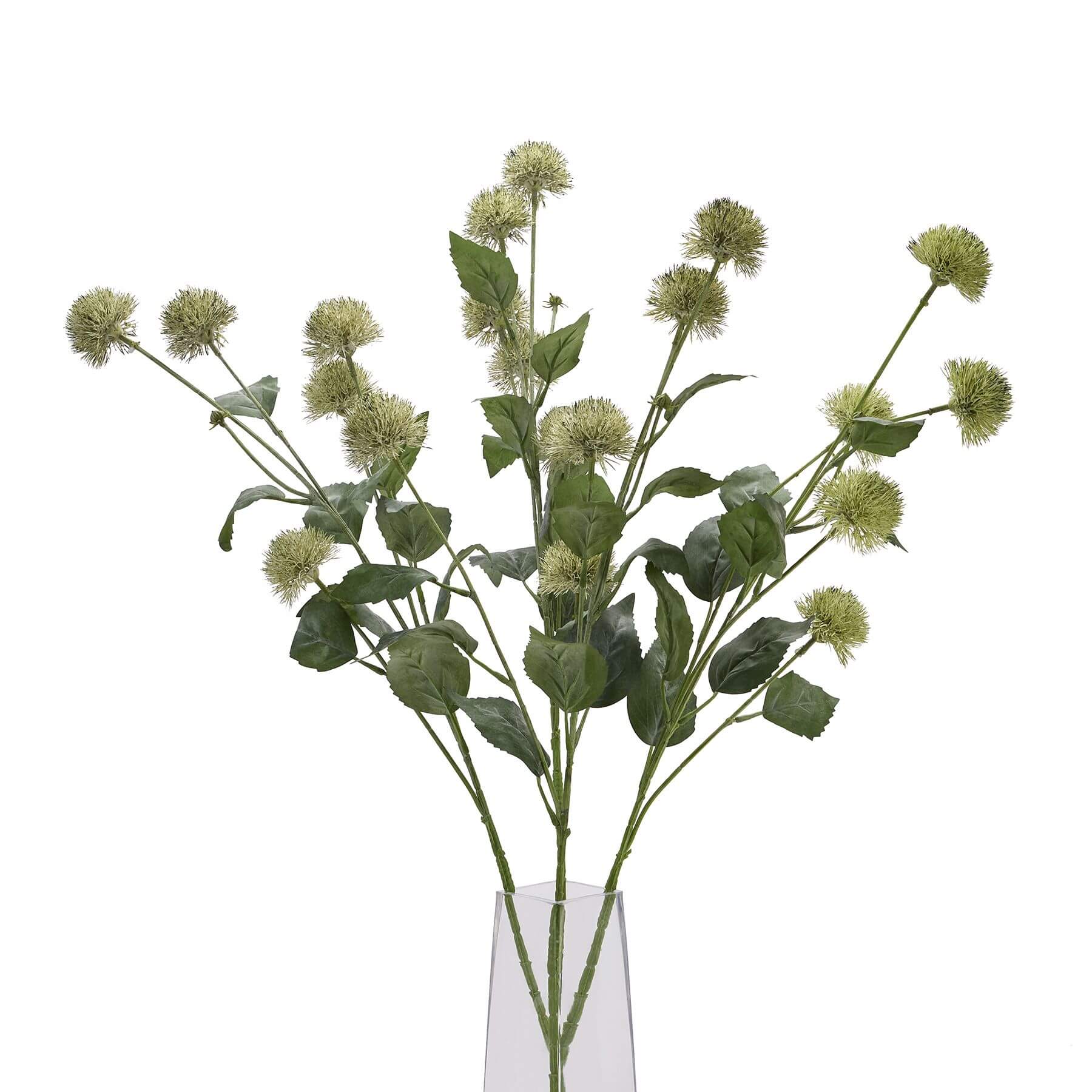 Globe Stem Faux Thistle Botanical
