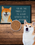 Shiba Inu Pet Bowl Mat