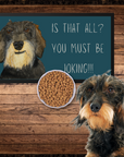Wire Haired Dachshund Dining Drama – Hilarious Pet Bowl Mat!