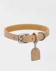 Leather Collar