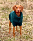 Extra Large British Wool Dog Jumper