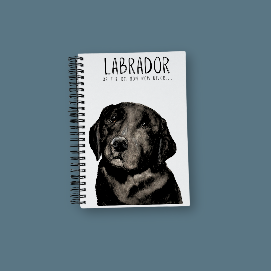“Paws, Reflect, Repeat” — The Om Nom Nomnivore Notebook