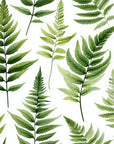 Green Fern Botanical Wallpaper