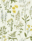 Botanical Garden Wallpaper