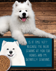 Starving & Staring: Samoyed-Approved Pet Bowl Mat