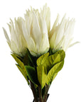 Pack of 6 x 65cm Protea Sugarbush Flower Stem - White-0