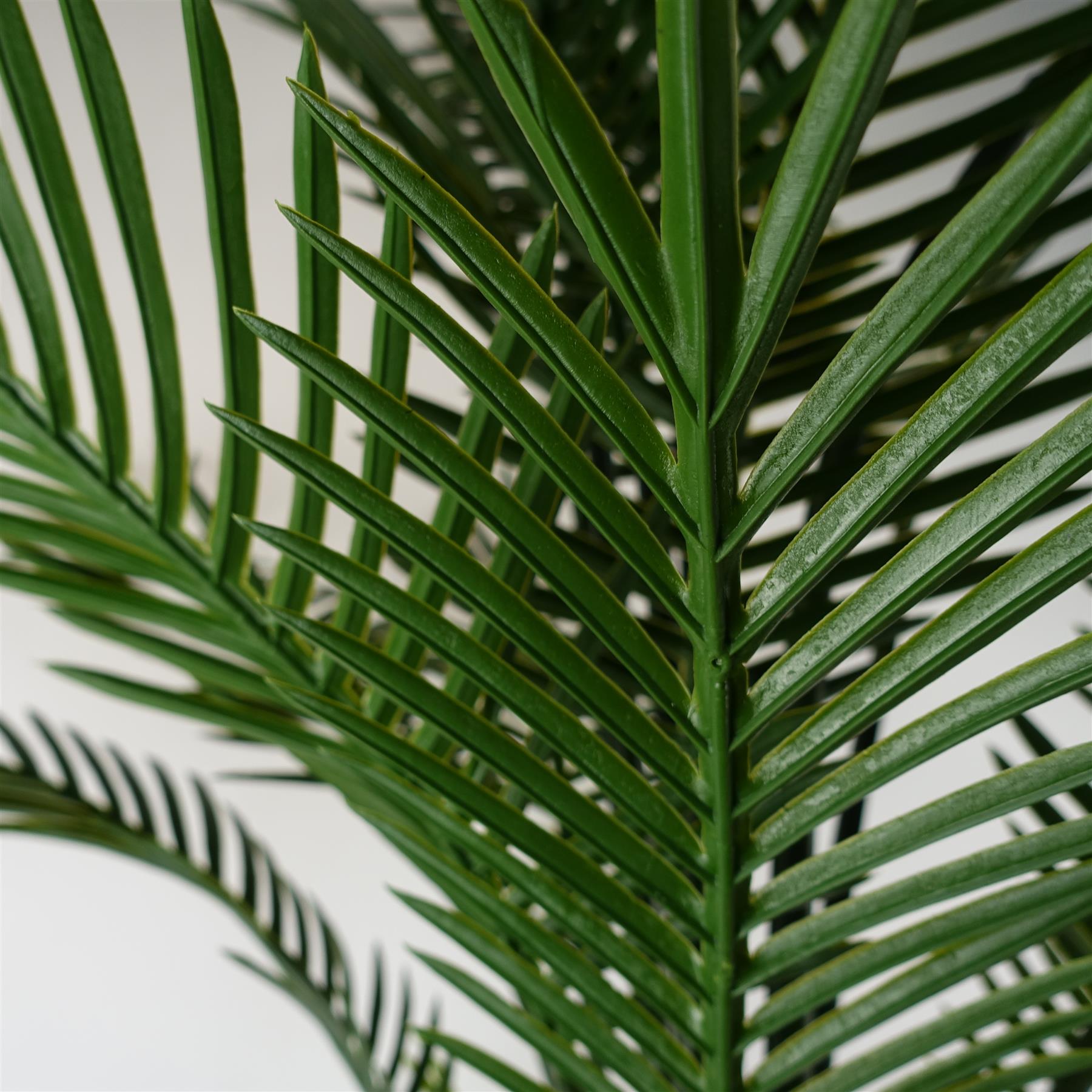 UV Resistant Raphis Palm Tree Trunk-4