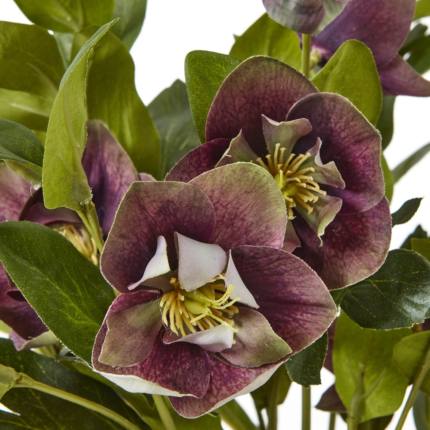 Faux Plum Hellebore in Taupe Ceramic Pot