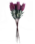 Pack of 6 x 75cm Banksia Menziesii Pink Flower Stem Artificial-1