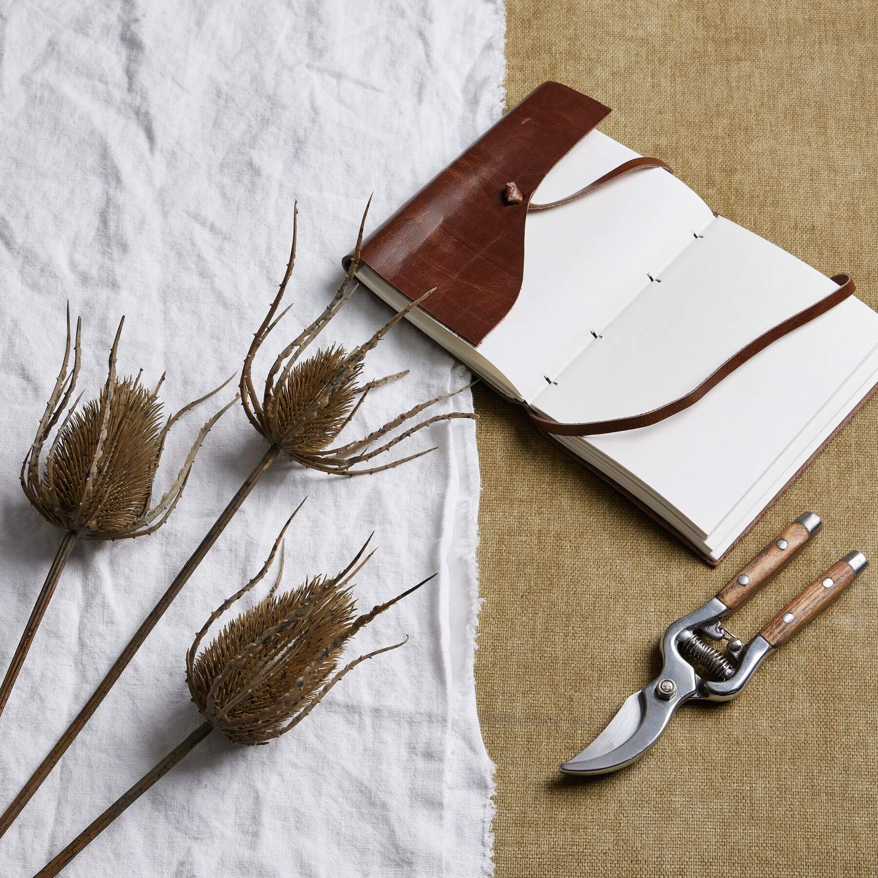 Triple Teasle Artificial Stem for Wild Style Interiors