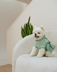 Puppy Pouch