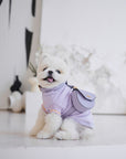 Puppy Pouch
