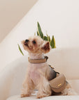 Puppy Pouch