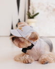 Puppy Cap with Golden Logo