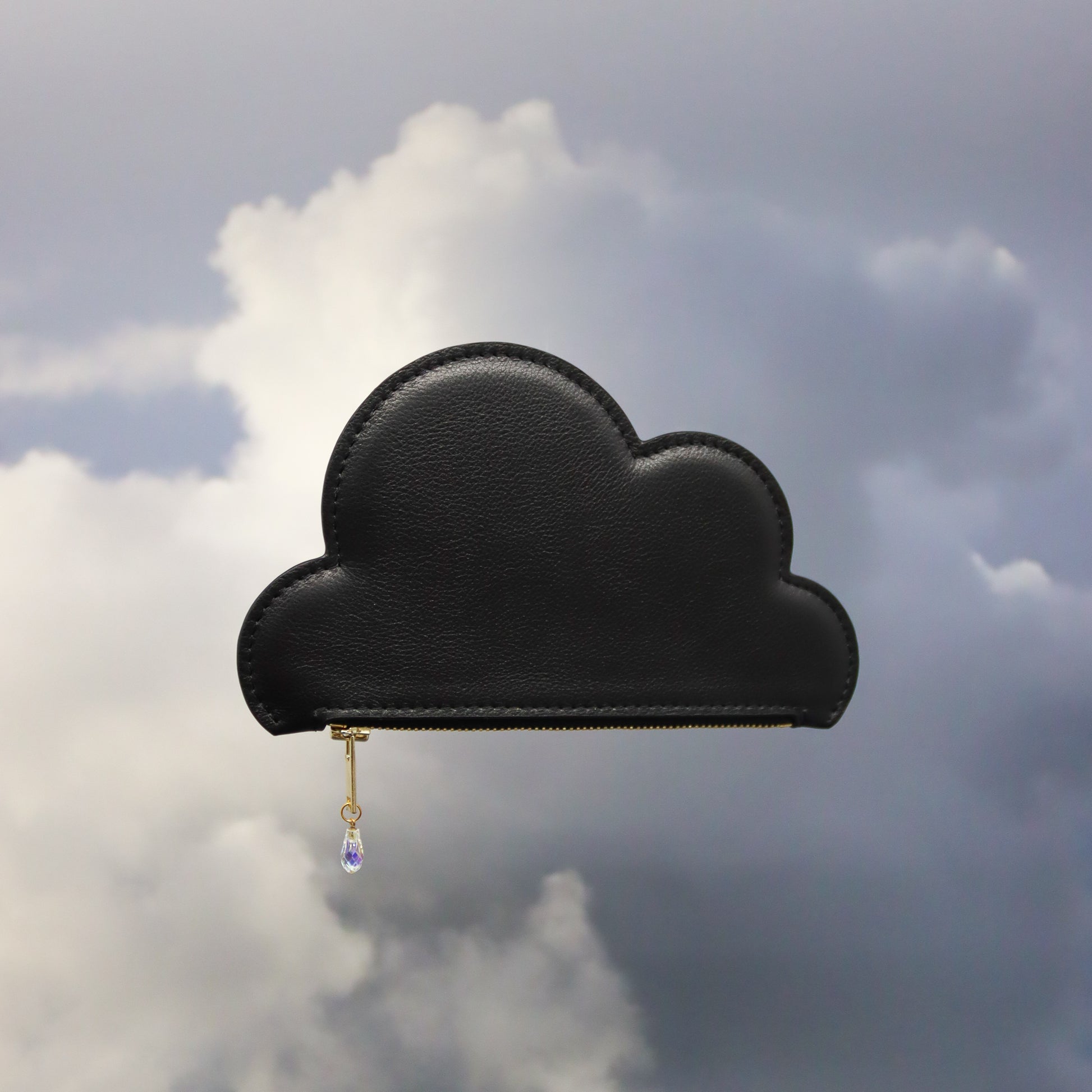 Black Leather Cloud Purse