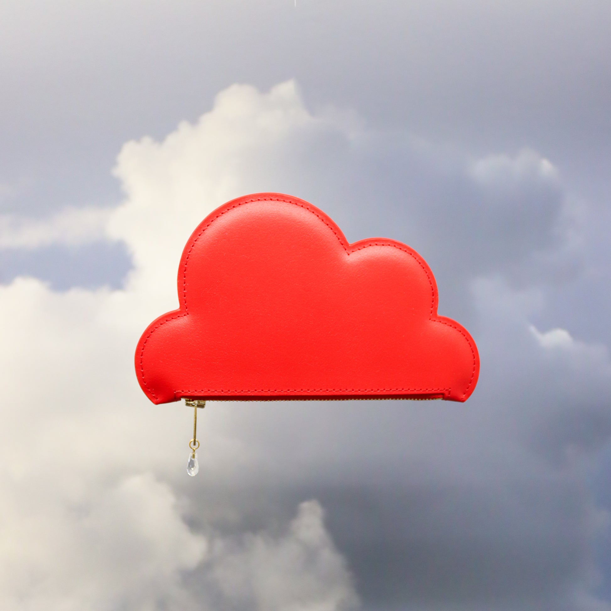 Red Leather Cloud Purse