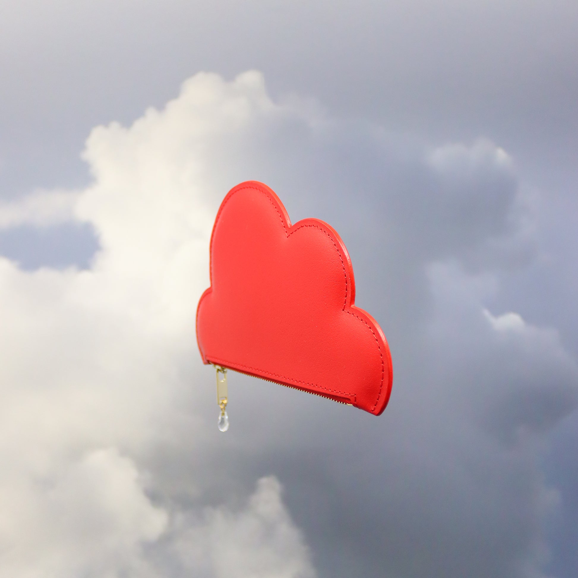 Red Leather Cloud Purse